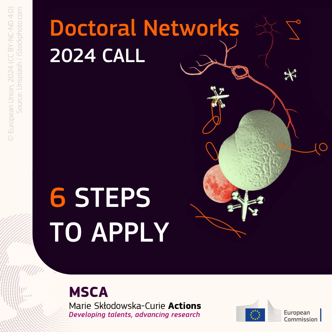 Doctoral Networks 2024 Call: 6 Steps To Prepare Your Application | EURAXESS